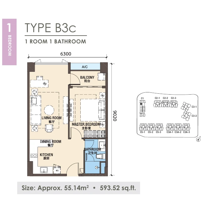 R&F New Casa Suites Type B3c 1 bedroom 593.52 sqft floor plan